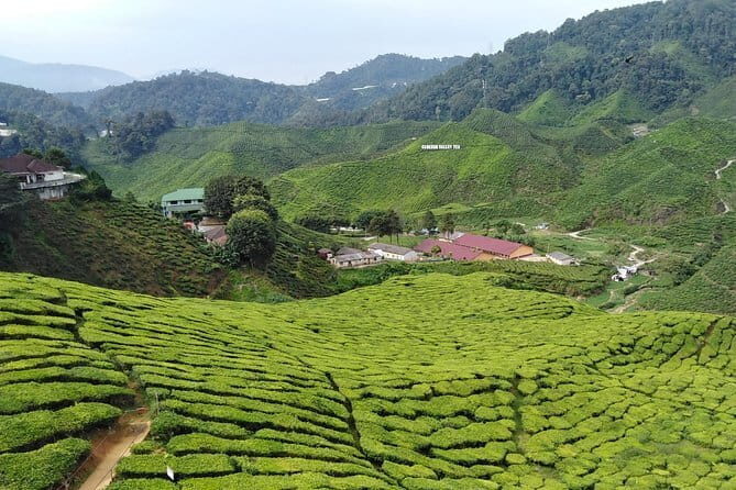 2 Days Private Vehicle With Driver -Explore Malaysia By Your Own Plans - Price and value for a private 2-person group
