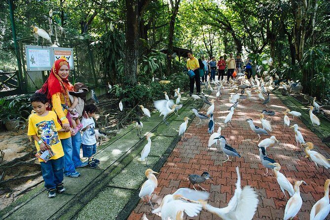 Bird Park & Butterfly Farm Nature Tour From Kuala Lumpur - Transport and timing: how to avoid a frustrating half day