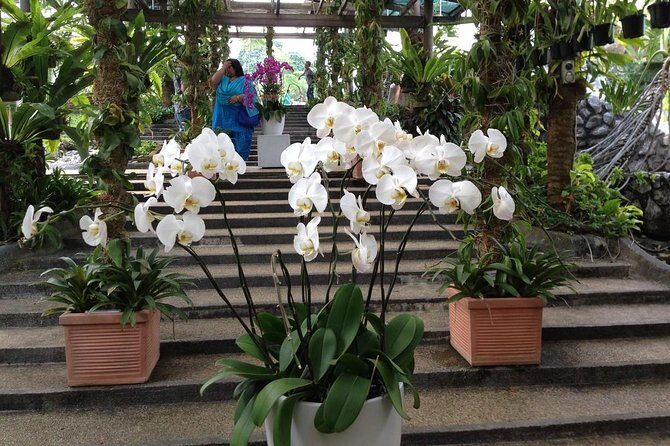 Bird Park & Butterfly Farm Nature Tour From Kuala Lumpur - What kind of traveler this suits best