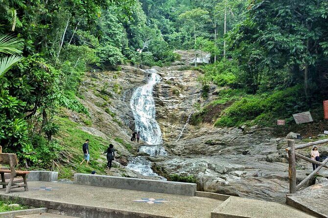 Cameron Highland Full Day Tour from KL City (Private) - Cactus Valley and Cameron Bharat Tea Estate: Photos, Texture, and More Tea Views