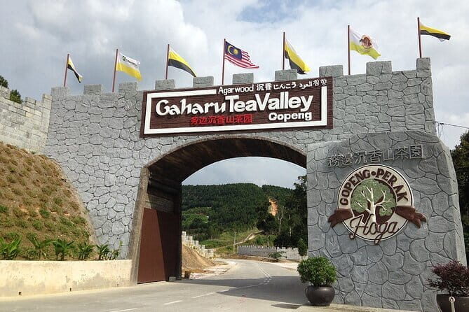 Cameron Highland Full Day Tour from KL City Private Tour - Butterfly Garden and Cactus Garden: A Nature Reset Between Farms