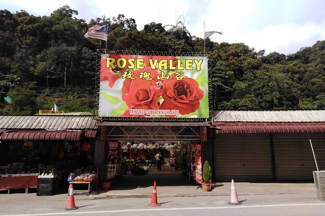 Cameron Highland Private Day Tour - Private transport: your pacing, your priorities