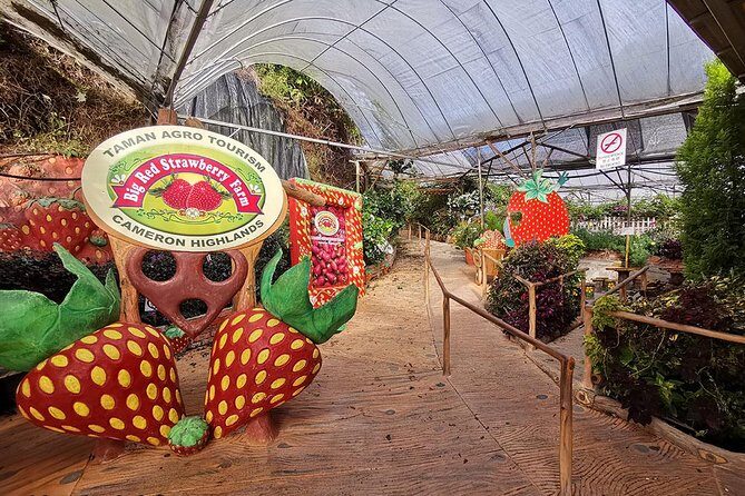 Cameron Highlands Full-Day Nature Tour - Stop 5: Sam Poh Temple—cool air, yellow walls, and views