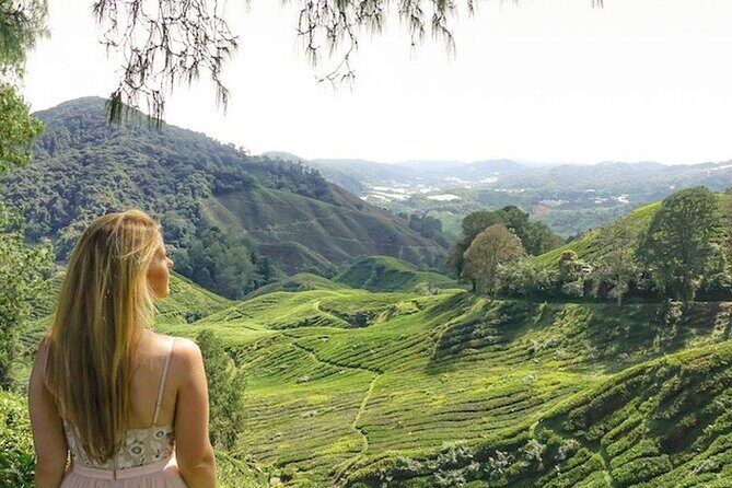 Cameron Highlands Tour from Kuala Lumpur - Kea Farm Market and local produce deals