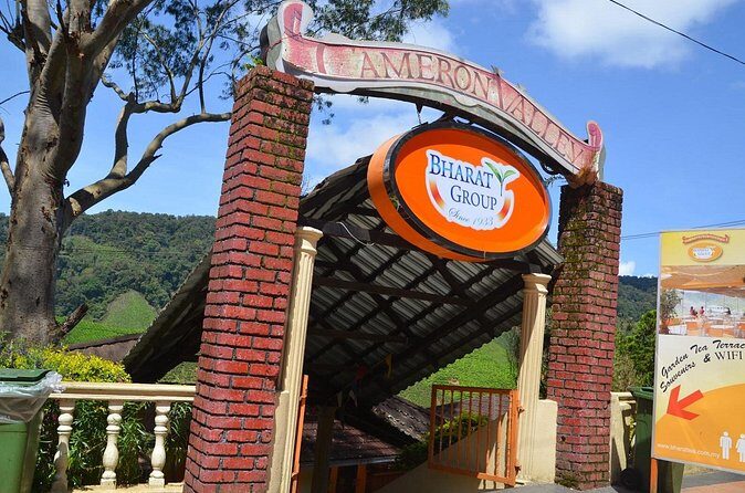Elevate Your Senses: A Day of Wonders in Cameron Highlands! - Stop 5: Cameron Tringkap Bee Farm (20 minutes) for honey production insights