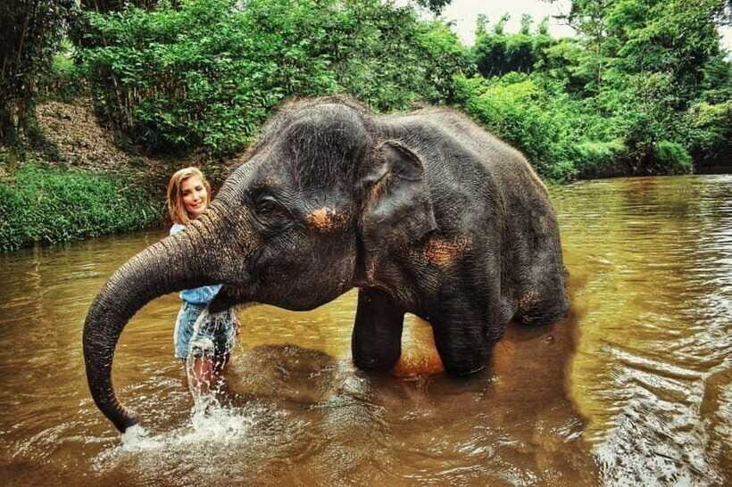 From Kuala Lumpur: Elephant Sanctuary Guided Tour - What to pack and how to prepare so the day feels easy