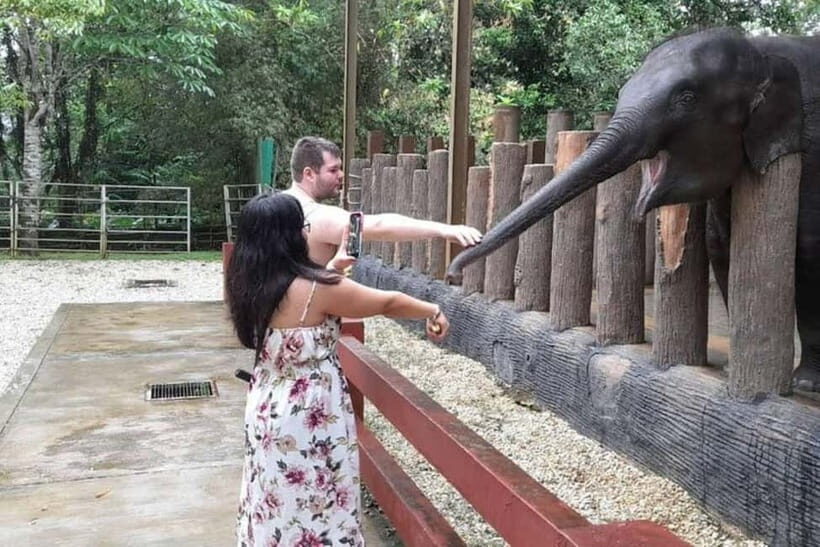 From Kuala Lumpur: Kuala Gandah & Batu Caves Day Trip - Batu Caves First: why this order works on a KL day trip