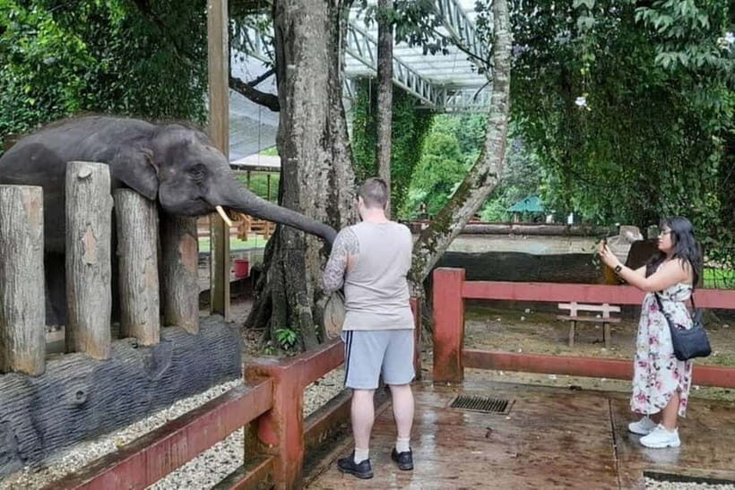 From Kuala Lumpur: Kuala Gandah & Batu Caves Day Trip - Batu Caves in about an hour: what you’ll actually get done