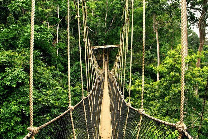 From Kuala Lumpur Taman Negara Day Trip With Lunch - Price and inclusions: is $178 good value for a private day?
