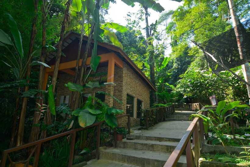 From Kuala Lumpur: Taman Negara Private Tour - What’s Included vs. What You’ll Pay Extra