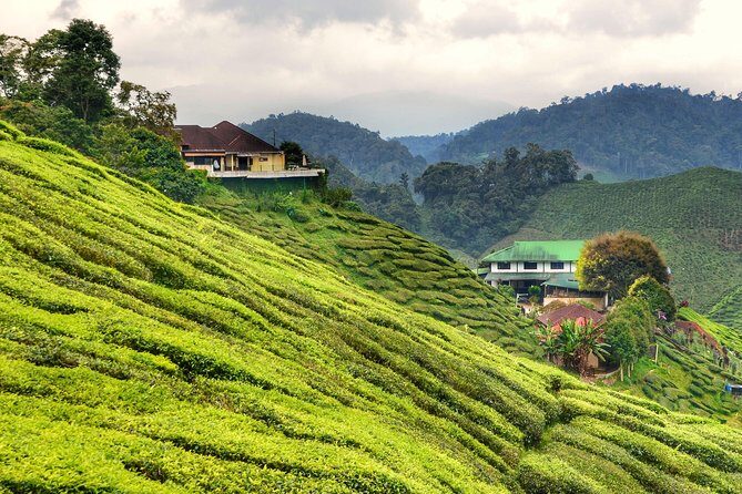 Full-day Cameron Highlands Day Trip from Kuala Lumpur - Lata Iskandar waterfall break before the tea route