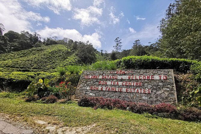 Full-day Cameron Highlands Day Trip from Kuala Lumpur - Sam Poh Temple in Brinchang: views plus a quieter finish