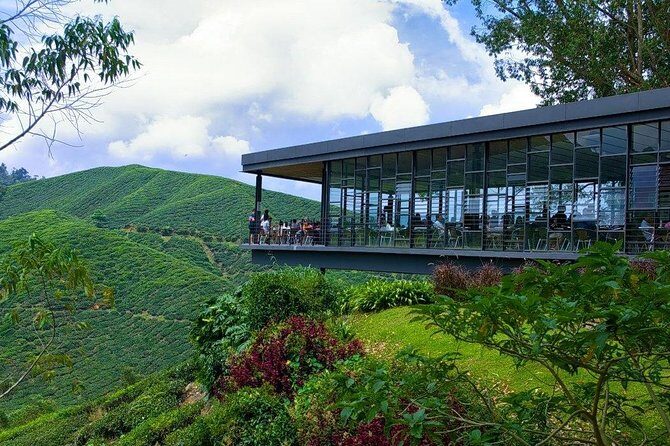 Full Day Cameron Highlands Nature Tour - The drive up to Cameron Highlands: where the scenery changes fast