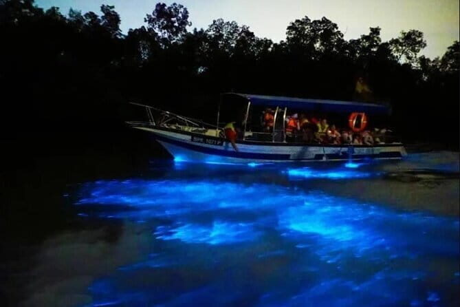 Group Tour: Kuala Selangor Firefly Blinking's including Dinner - Kampung Kuantan Firefly Park: The Boat Ride You Came For