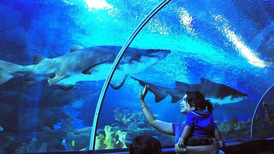 Kuala Lumpur: Aquaria KLCC Entry Ticket - Aquaria KLCC’s location: ocean view steps from the Petronas Towers