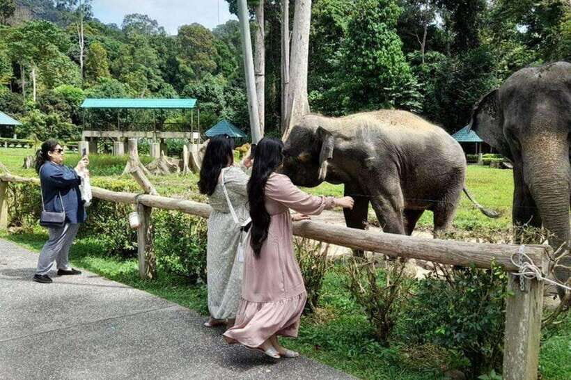 Kuala Lumpur: Kuala Gandah and Batu Caves Private Trip - Batu Caves: how to use your one-hour visit well