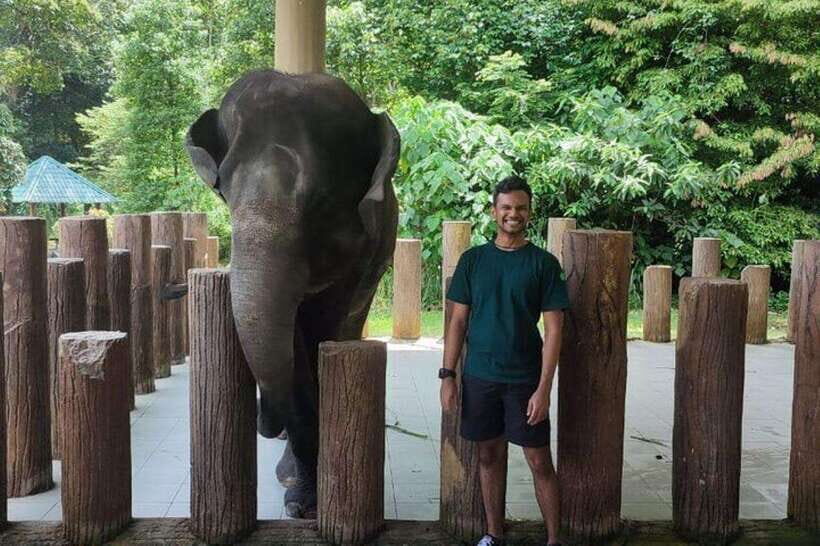 Kuala Lumpur: Kuala Gandah and Batu Caves Private Trip - Close elephant time: feeding, access, and what to expect