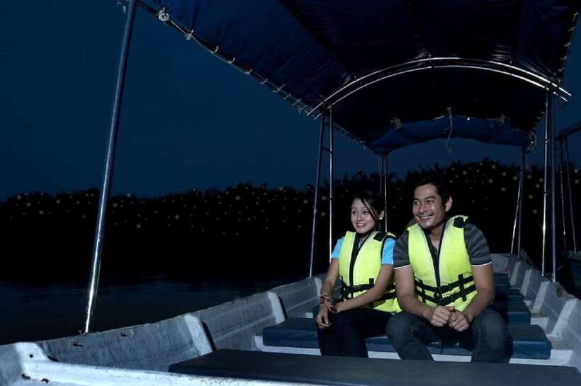 Kuala Lumpur: Kuala Selangor Firefly Tour and Dinner - Key points before you go