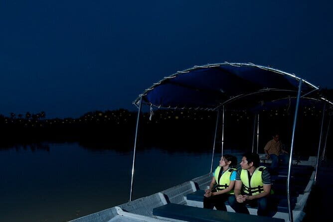 Kuala Selangor Firefly Blinkings Private Tour with Seafood Dinner - Key Things I’d Watch For