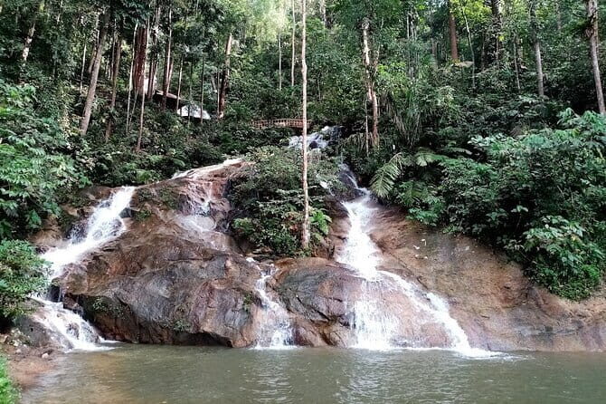Private Fireflies Tour with Blue Tears and Seafood Dinner - Price and value: is $80 per person fair for what you get?