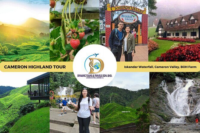 Private Full-Day Cameron Highlands Nature Tour from Kuala Lumpur - Key Highlights You’ll Actually Care About