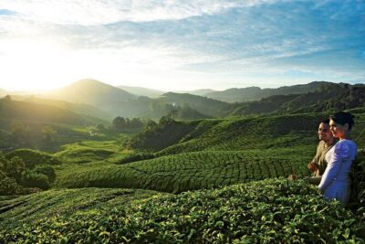 Private Nature Trip to Cameron Highlands from Kuala Lumpur - Getting There Comfortably From Kuala Lumpur